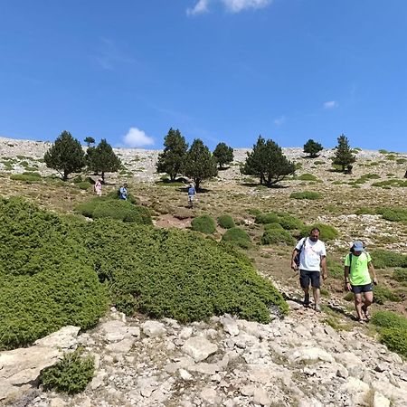 Dinosaur House Apartment Coll de Nargó Екстериор снимка